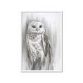 Picture of Living Owl _GroupedProduct_Rectangle_Portrait_Framed_Matted_