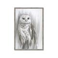 Picture of Living Owl _GroupedProduct_Rectangle_Portrait_Framed_Matted_