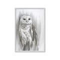 Picture of Living Owl _GroupedProduct_Rectangle_Portrait_Framed_Matted_
