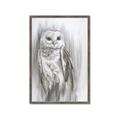 Picture of Living Owl _GroupedProduct_Rectangle_Portrait_Framed_Matted_