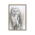 Picture of Living Owl _GroupedProduct_Rectangle_Portrait_Framed_Matted_