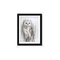 Picture of Living Owl _GroupedProduct_Rectangle_Portrait_Framed_Matted_