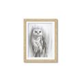 Picture of Living Owl _GroupedProduct_Rectangle_Portrait_Framed_Matted_