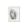Picture of Living Owl _GroupedProduct_Rectangle_Portrait_Framed_Matted_