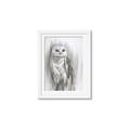 Picture of Living Owl _GroupedProduct_Rectangle_Portrait_Framed_Matted_