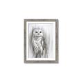 Picture of Living Owl _GroupedProduct_Rectangle_Portrait_Framed_Matted_