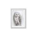 Picture of Living Owl _GroupedProduct_Rectangle_Portrait_Framed_Matted_