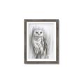 Picture of Living Owl _GroupedProduct_Rectangle_Portrait_Framed_Matted_