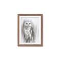 Picture of Living Owl _GroupedProduct_Rectangle_Portrait_Framed_Matted_