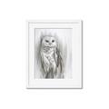 Picture of Living Owl _GroupedProduct_Rectangle_Portrait_Framed_Matted_