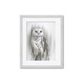 Picture of Living Owl _GroupedProduct_Rectangle_Portrait_Framed_Matted_