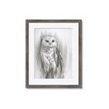 Picture of Living Owl _GroupedProduct_Rectangle_Portrait_Framed_Matted_