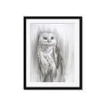 Picture of Living Owl _GroupedProduct_Rectangle_Portrait_Framed_Matted_