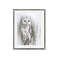 Picture of Living Owl _GroupedProduct_Rectangle_Portrait_Framed_Matted_