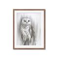 Picture of Living Owl _GroupedProduct_Rectangle_Portrait_Framed_Matted_