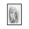 Picture of Living Owl _GroupedProduct_Rectangle_Portrait_Framed_Matted_
