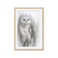 Picture of Living Owl _GroupedProduct_Rectangle_Portrait_Framed_Matted_