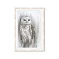 Picture of Living Owl _GroupedProduct_Rectangle_Portrait_Framed_Matted_