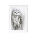 Picture of Living Owl _GroupedProduct_Rectangle_Portrait_Framed_Matted_