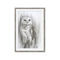 Picture of Living Owl _GroupedProduct_Rectangle_Portrait_Framed_Matted_