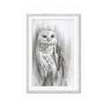 Picture of Living Owl _GroupedProduct_Rectangle_Portrait_Framed_Matted_