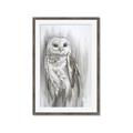Picture of Living Owl _GroupedProduct_Rectangle_Portrait_Framed_Matted_