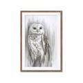Picture of Living Owl _GroupedProduct_Rectangle_Portrait_Framed_Matted_