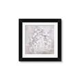 Picture of White Flower Buds _GroupedProduct_Square_Framed_Matted_