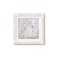 Picture of White Flower Buds _GroupedProduct_Square_Framed_Matted_