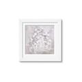 Picture of White Flower Buds _GroupedProduct_Square_Framed_Matted_