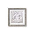 Picture of White Flower Buds _GroupedProduct_Square_Framed_Matted_