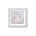 Picture of White Flower Buds _GroupedProduct_Square_Framed_Matted_