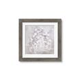 Picture of White Flower Buds _GroupedProduct_Square_Framed_Matted_
