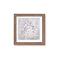 Picture of White Flower Buds _GroupedProduct_Square_Framed_Matted_