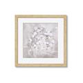 Picture of White Flower Buds _GroupedProduct_Square_Framed_Matted_
