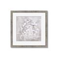 Picture of White Flower Buds _GroupedProduct_Square_Framed_Matted_