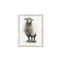 Picture of Watercolour Sheep  _GroupedProduct_Rectangle_Portrait_Framed_Matted_
