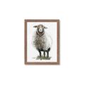 Picture of Watercolour Sheep  _GroupedProduct_Rectangle_Portrait_Framed_Matted_