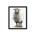 Picture of Watercolour Sheep  _GroupedProduct_Rectangle_Portrait_Framed_Matted_