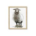 Picture of Watercolour Sheep  _GroupedProduct_Rectangle_Portrait_Framed_Matted_