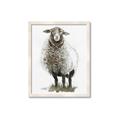Picture of Watercolour Sheep  _GroupedProduct_Rectangle_Portrait_Framed_Matted_