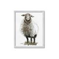 Picture of Watercolour Sheep  _GroupedProduct_Rectangle_Portrait_Framed_Matted_