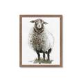 Picture of Watercolour Sheep  _GroupedProduct_Rectangle_Portrait_Framed_Matted_