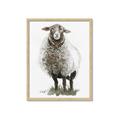 Picture of Watercolour Sheep  _GroupedProduct_Rectangle_Portrait_Framed_Matted_
