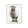 Picture of Watercolour Sheep  _GroupedProduct_Rectangle_Portrait_Framed_Matted_