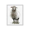 Picture of Watercolour Sheep  _GroupedProduct_Rectangle_Portrait_Framed_Matted_