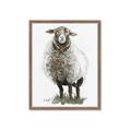 Picture of Watercolour Sheep  _GroupedProduct_Rectangle_Portrait_Framed_Matted_