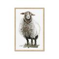 Picture of Watercolour Sheep  _GroupedProduct_Rectangle_Portrait_Framed_Matted_