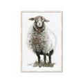Picture of Watercolour Sheep  _GroupedProduct_Rectangle_Portrait_Framed_Matted_