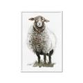 Picture of Watercolour Sheep  _GroupedProduct_Rectangle_Portrait_Framed_Matted_